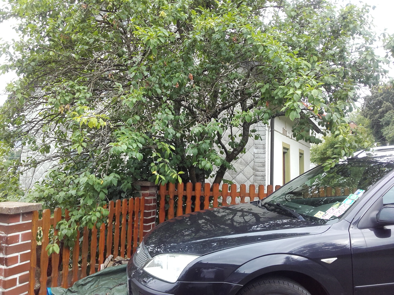 Паэт.- Художественно-документальный роман 